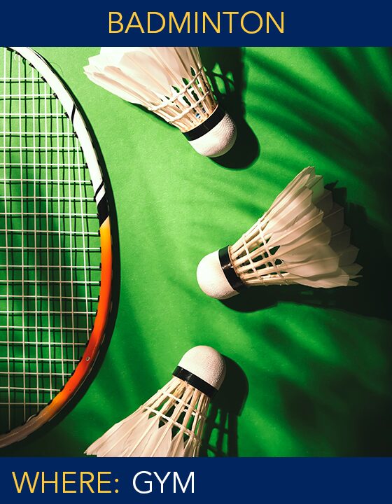Badminton copy