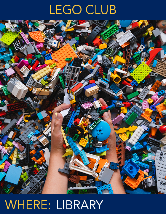 LEGO Club copy
