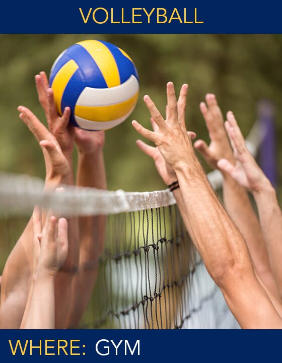 Volleyball copy