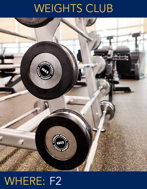 Weights Club copy